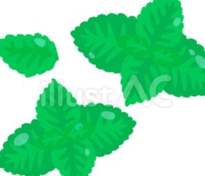 🍃今日の薬膳🍃