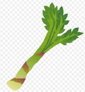 🍃今日の薬膳🍃